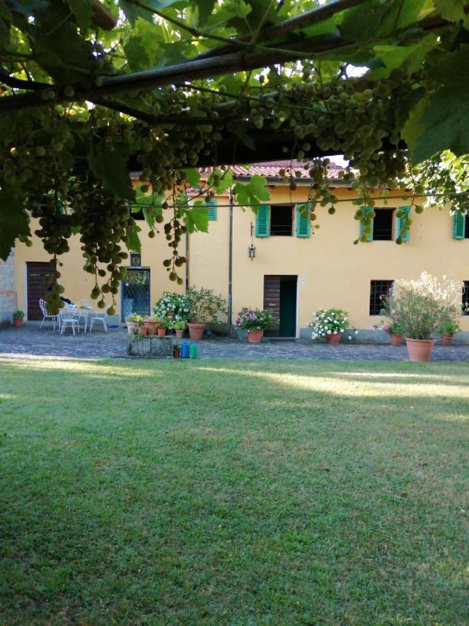 Mugello - Casa Di Campagna Bed and Breakfast Vicchio Buitenkant foto